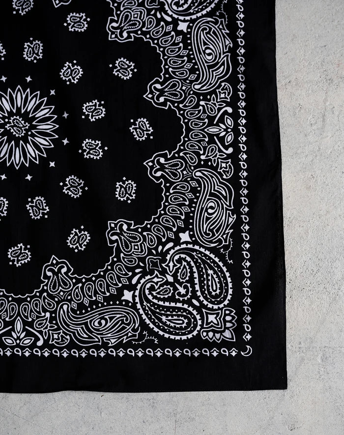 Large Paisley Scarf
